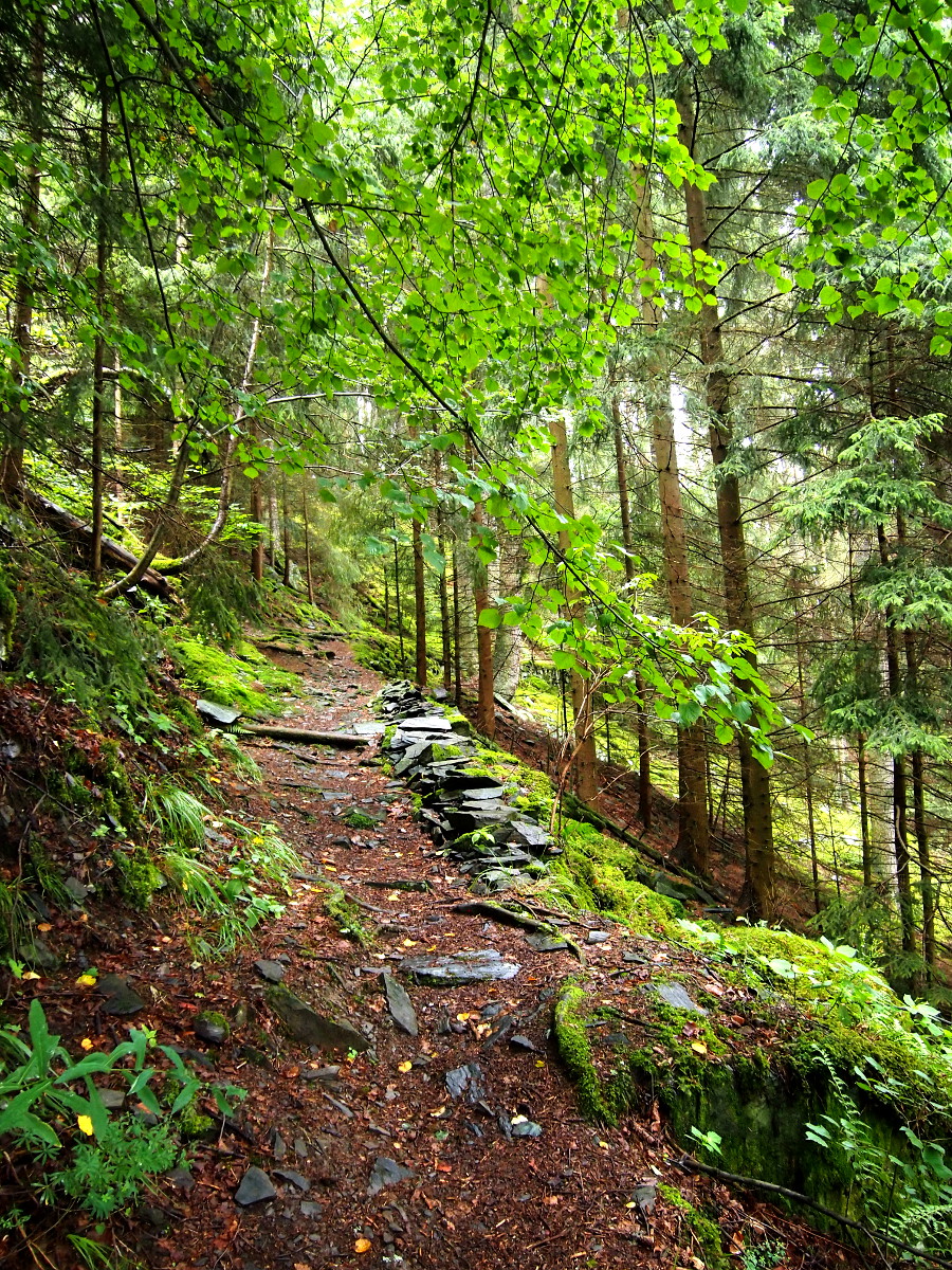 Cesta do Ošelína.
