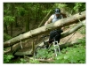 Kokořínsko mtb 201505