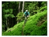 Kokořínsko mtb 201505
