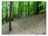 Kokořínsko mtb 201505