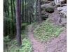 Kokořínsko mtb 201505