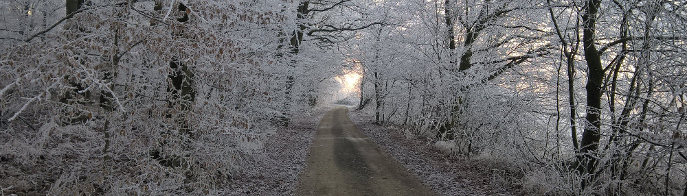 Jak na nový rok …